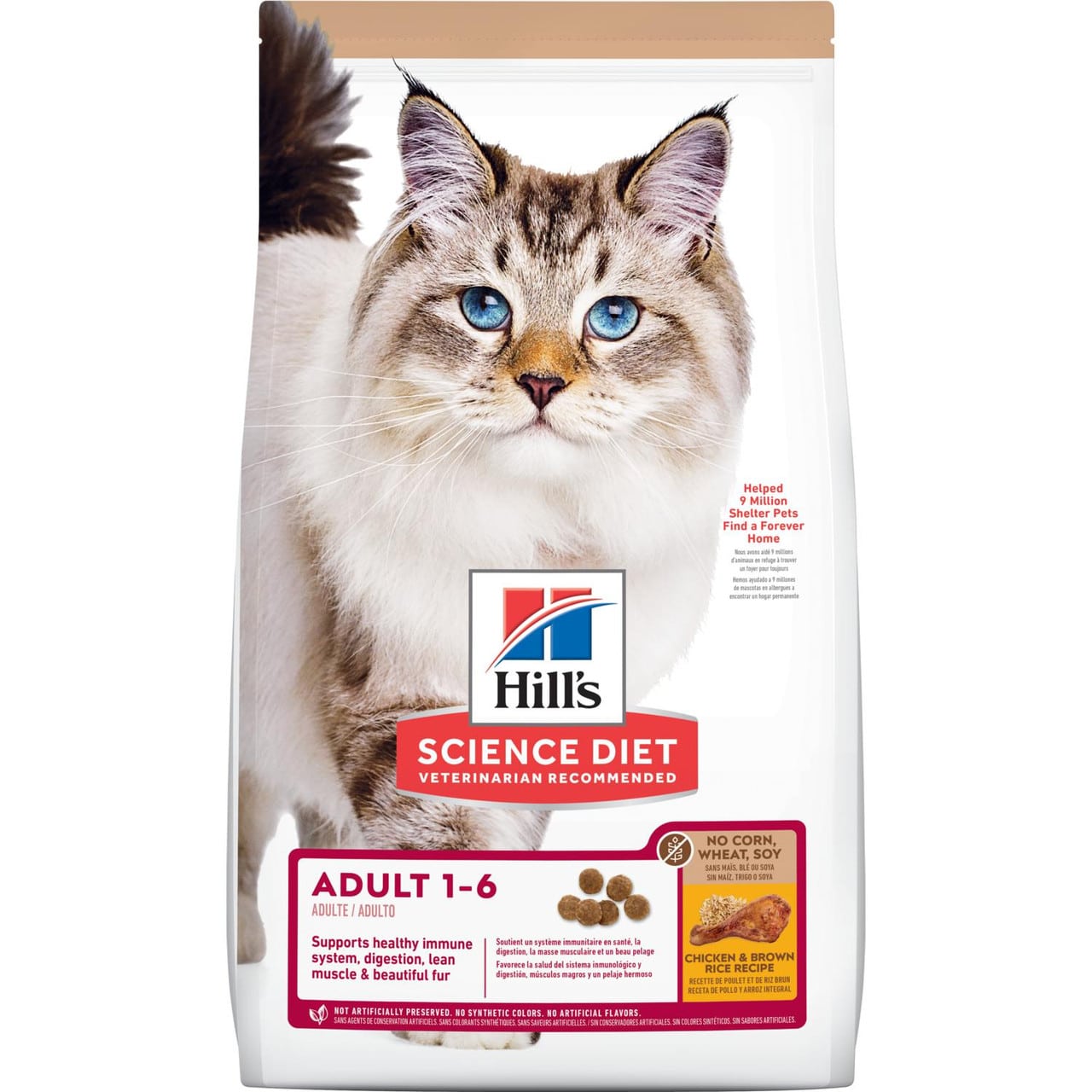 Top 10 cat food brands