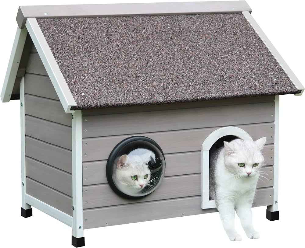 Outdoor cat house ideas 