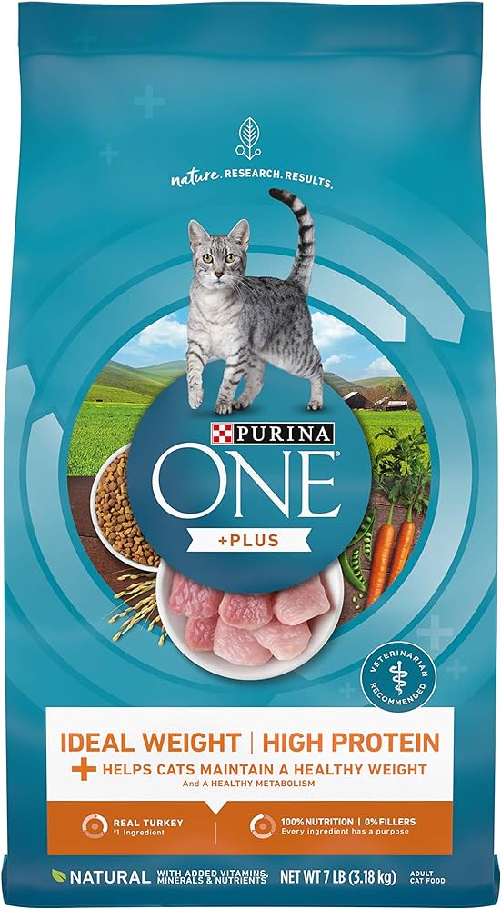 Top 10 cat food brands