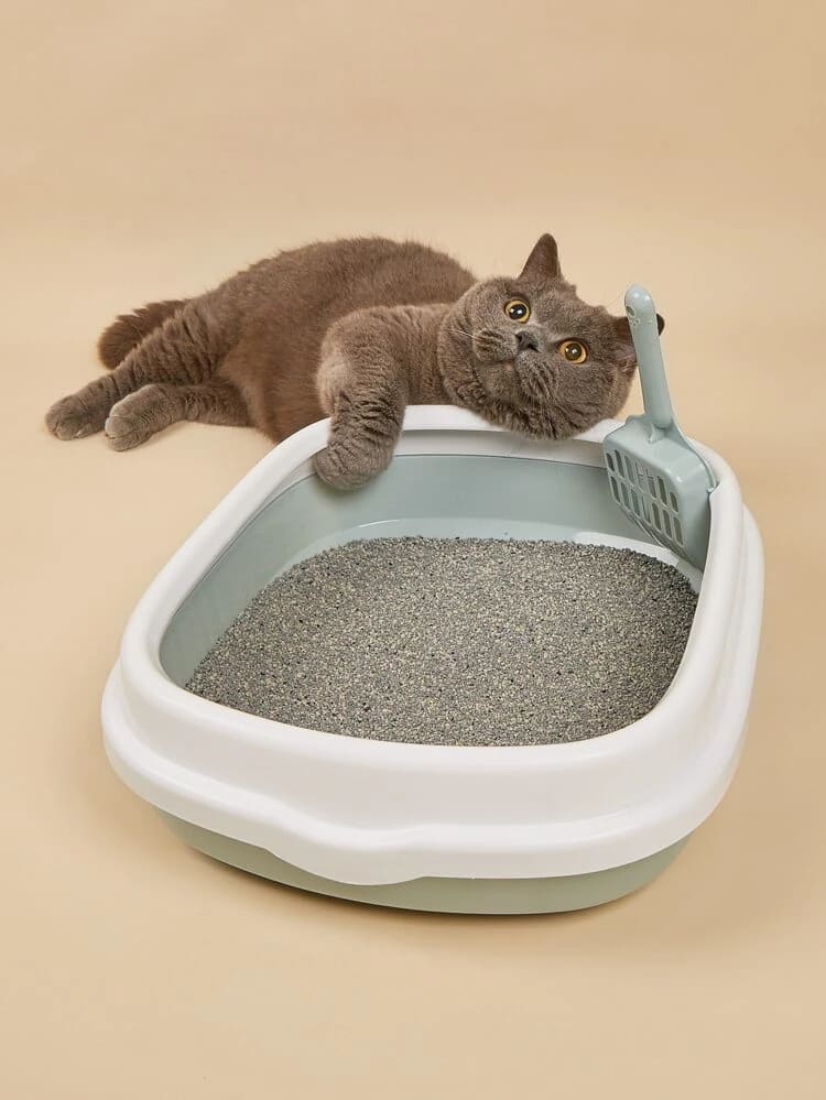 a cat sitting next to the iPrimio Stainless Steel Litter Box