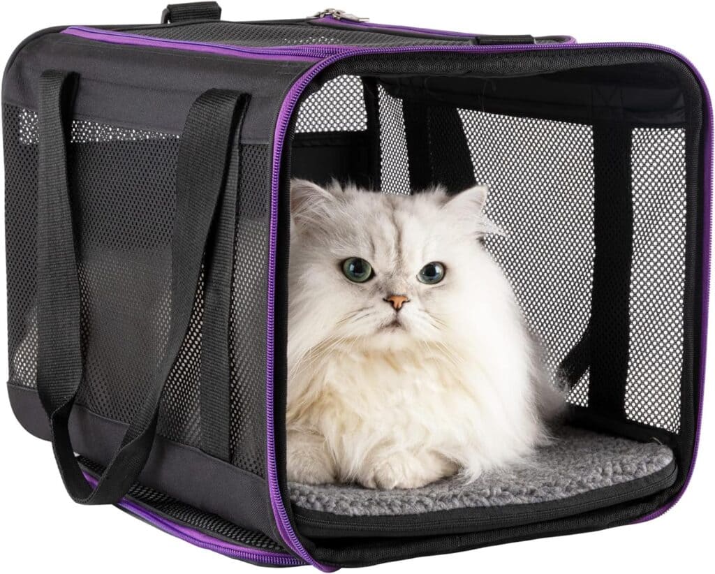 a cat sitting in a Petisfam Large Cat Carrier