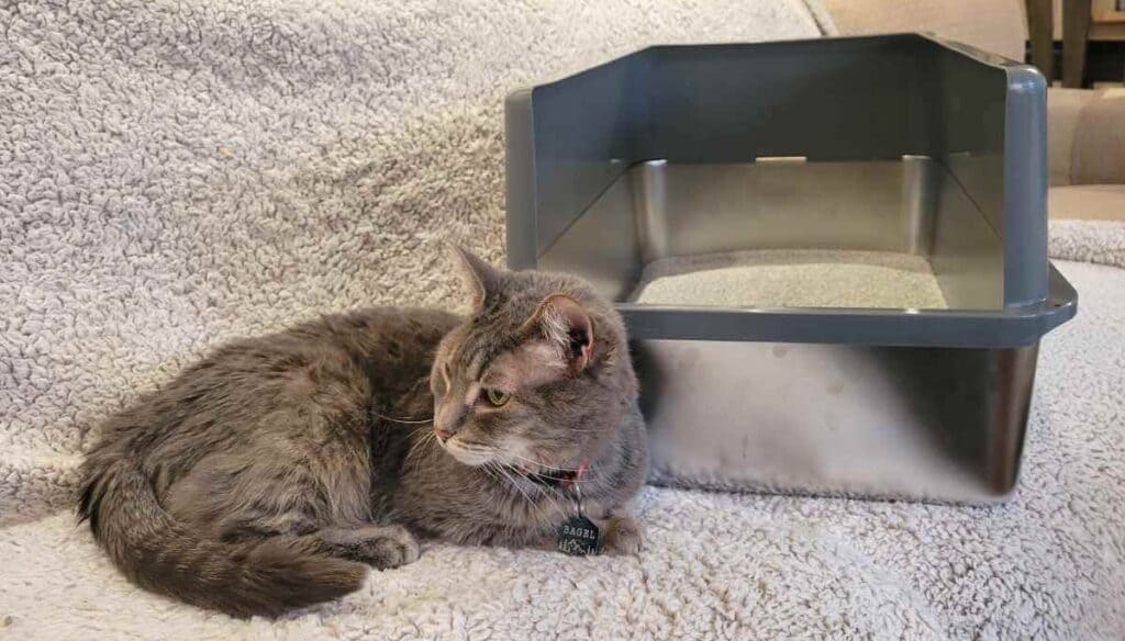 a cat sitting next to the iPrimio Stainless Steel Litter Box