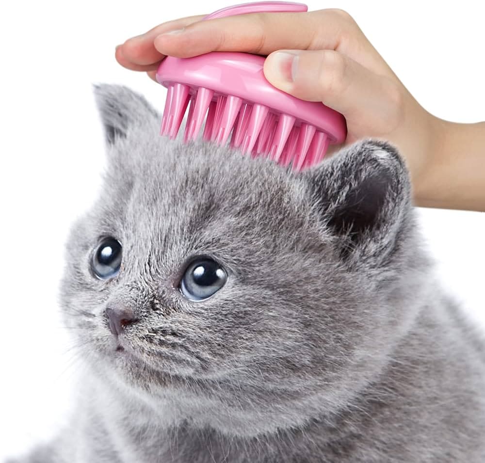 a cat with the grooming hairbrush