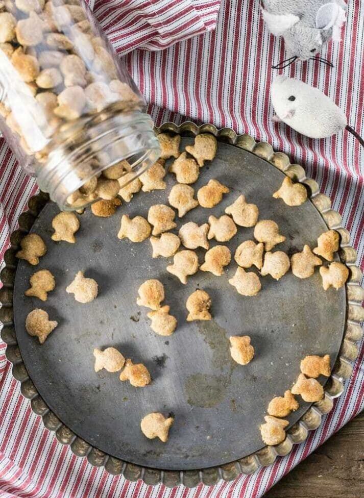 homemade cat treats in a plate and a jar