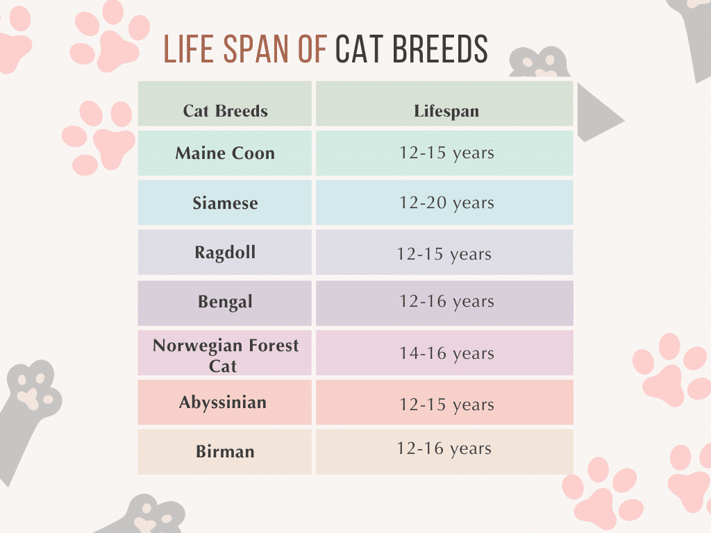 average lifespan 