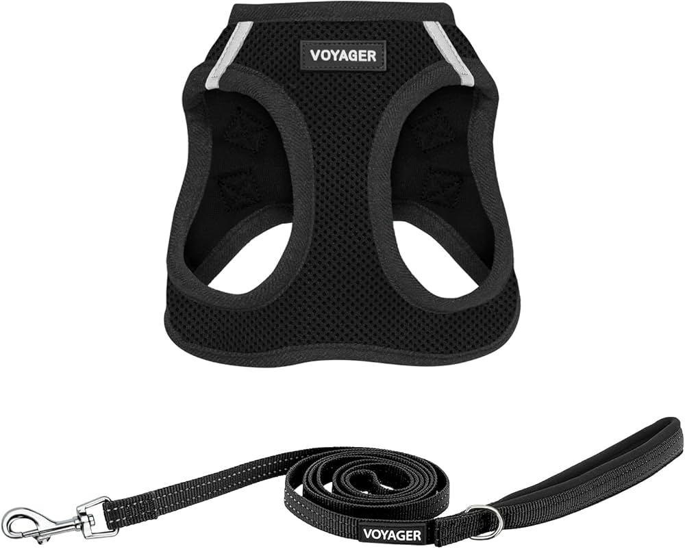 black voyager vest for pets with a black leash