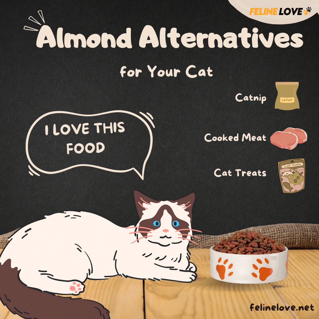 Almond Alternatives for Cat