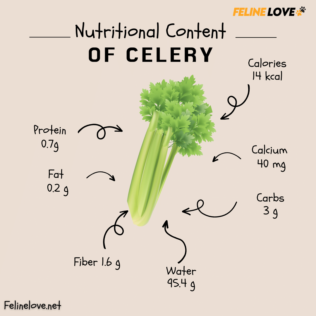 Nutritional Content of Celery