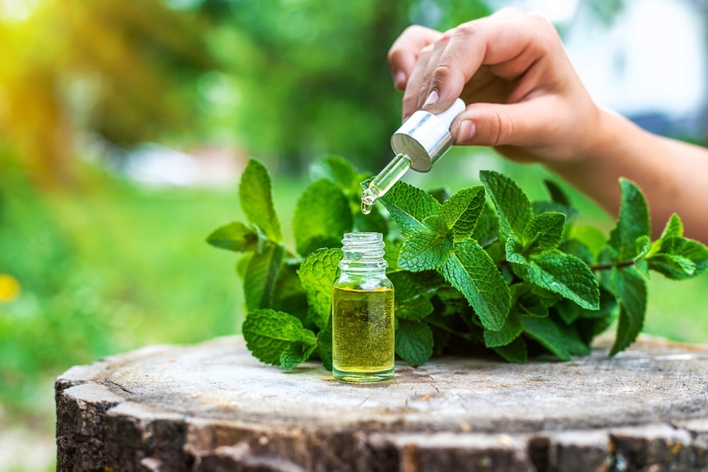 Peppermint Essential Oil In A Bottle Selective Focus Nature