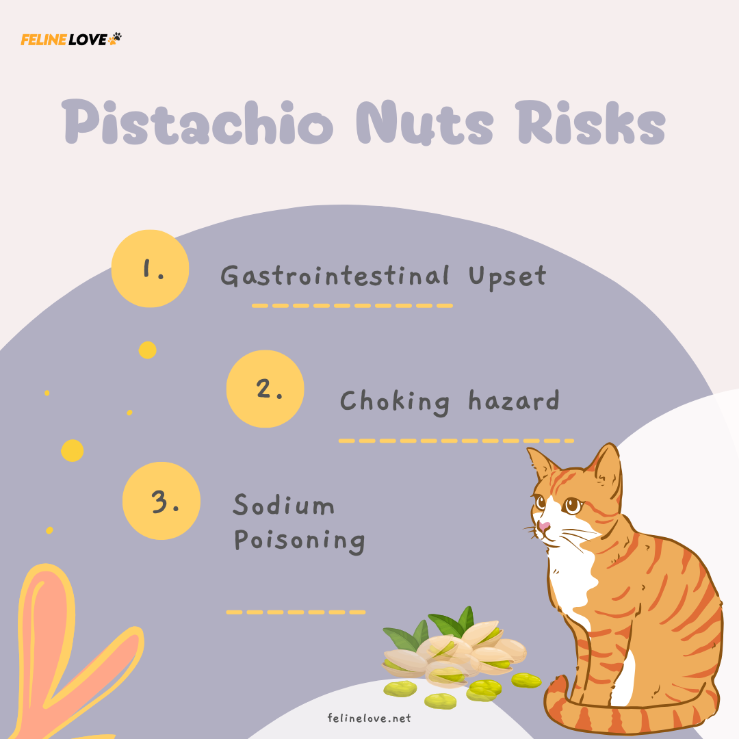 Pistachio Nuts Risks