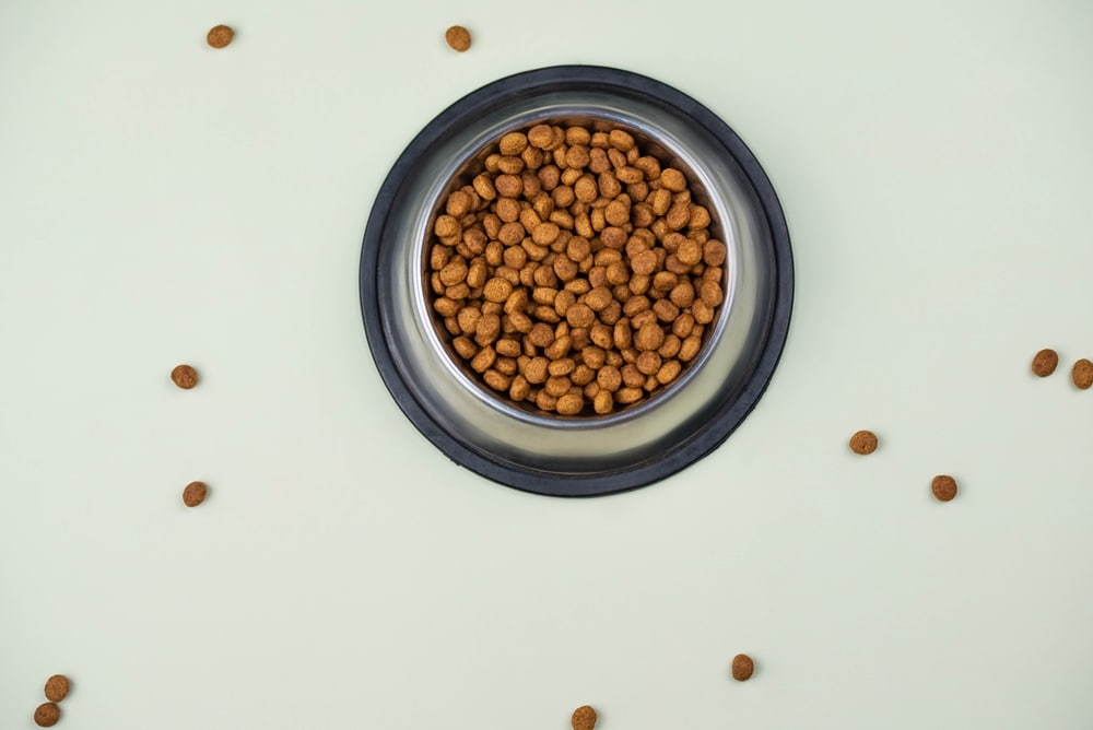 Brown cat or dog kibble in a metal bowl isolated top view close-up